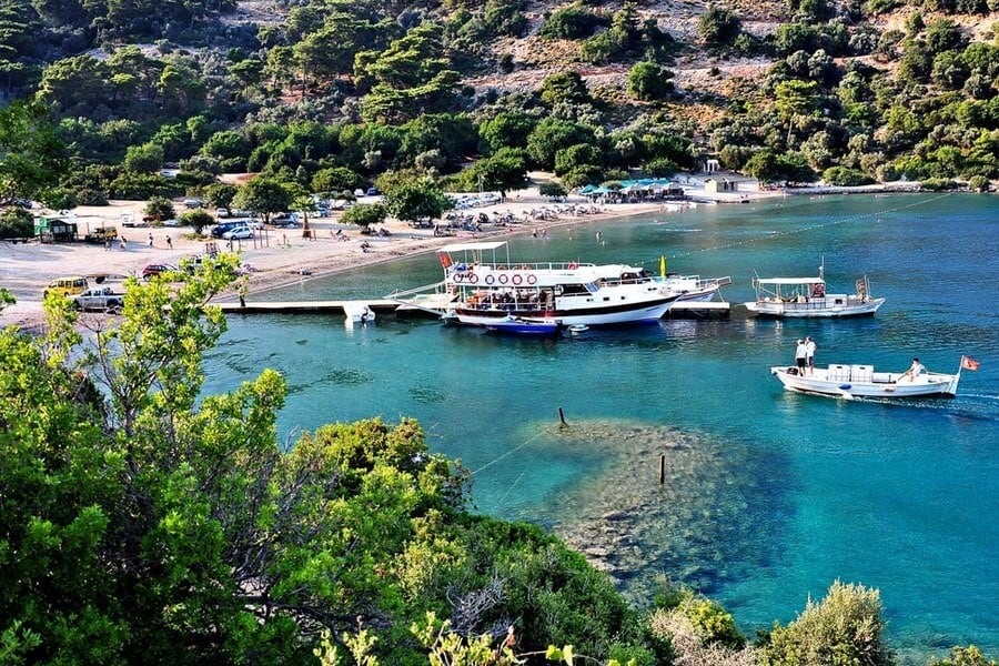 Aşı Koyu
