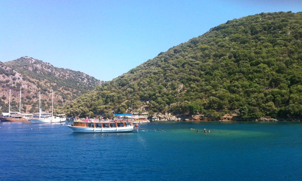 Akvaryum Koyu