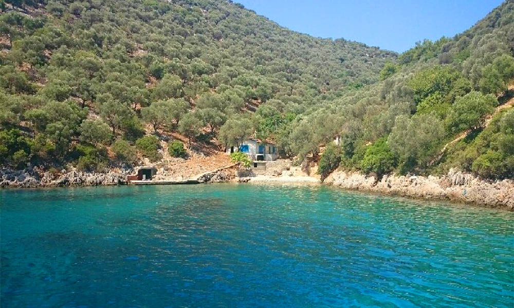 Domuz Adası